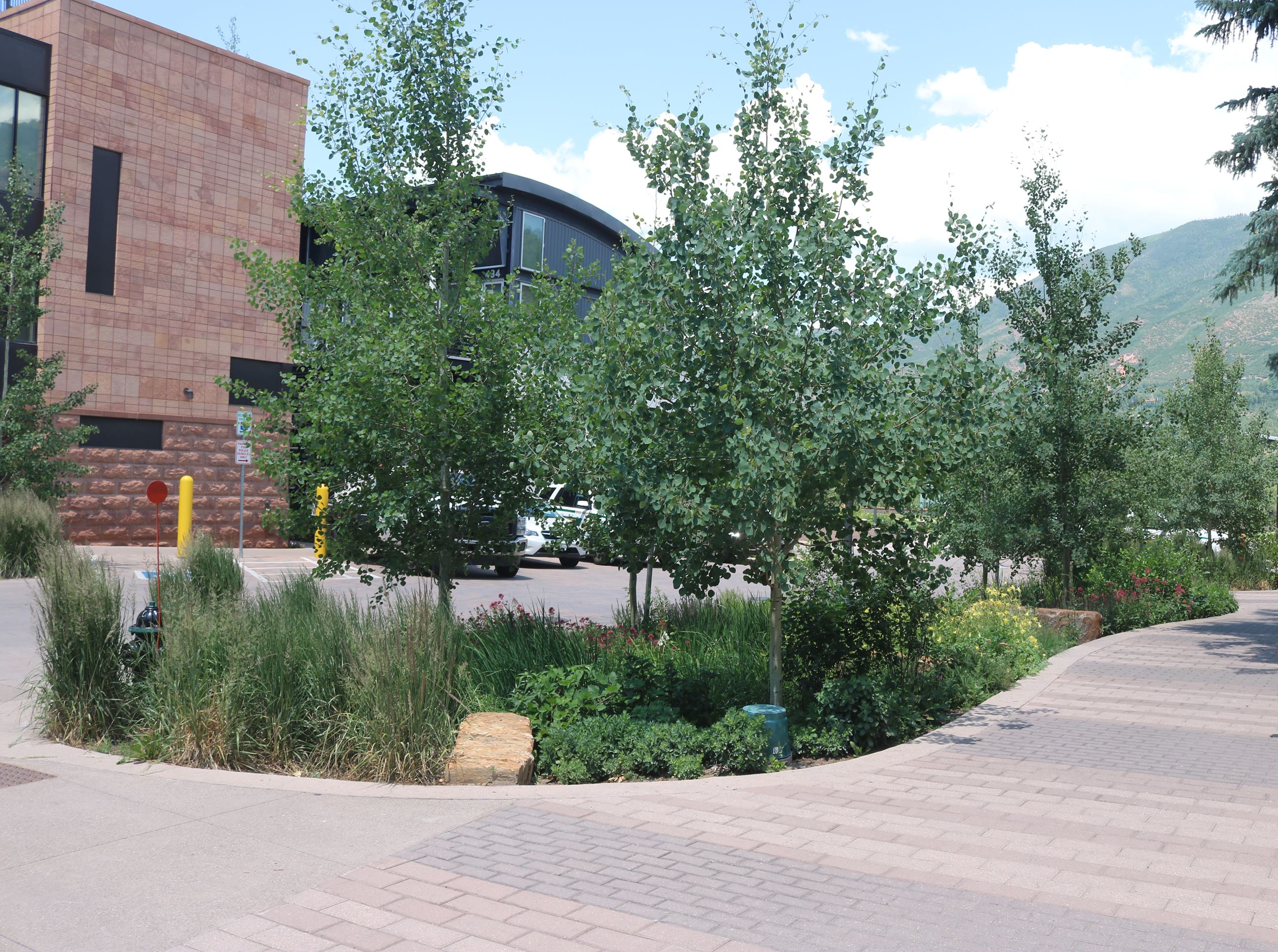 Galena Plaza Rain Gardens 4