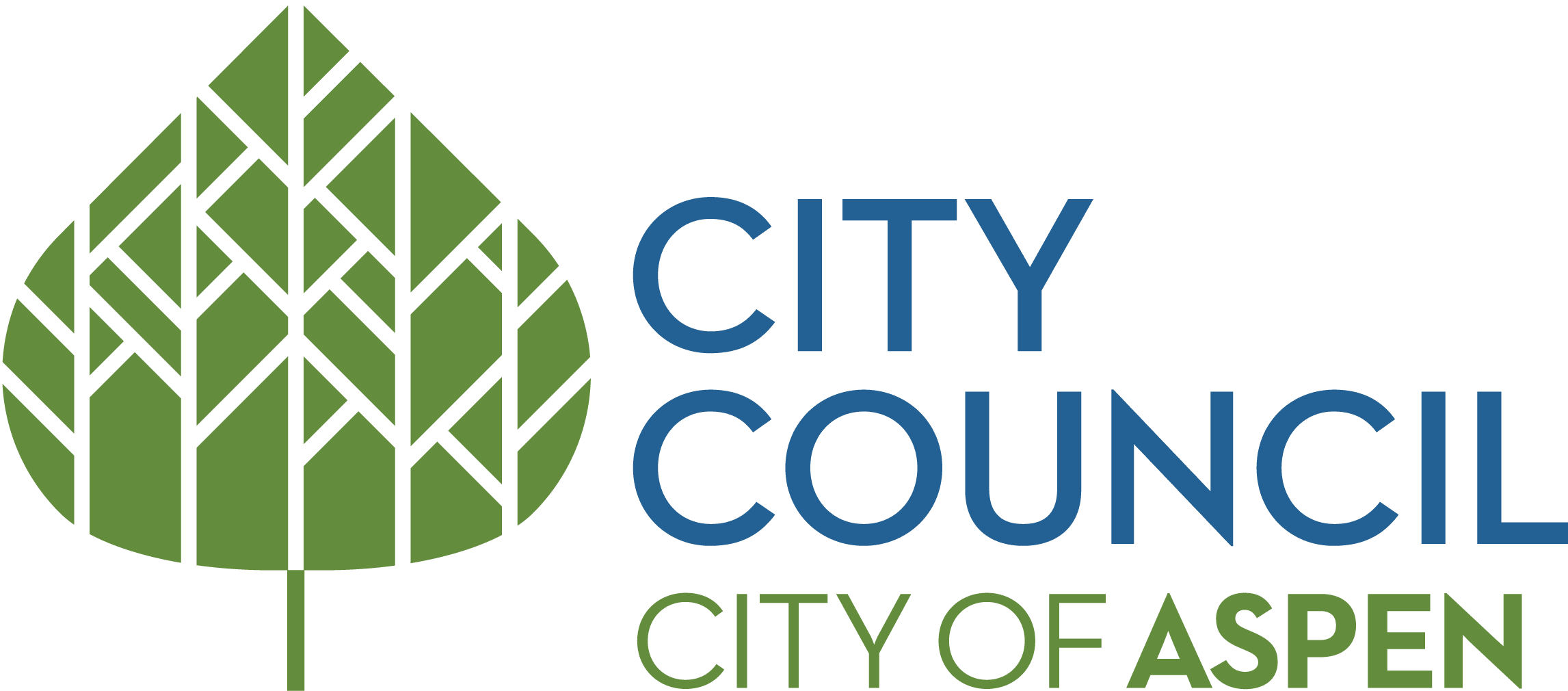COA_City-Council_Solid