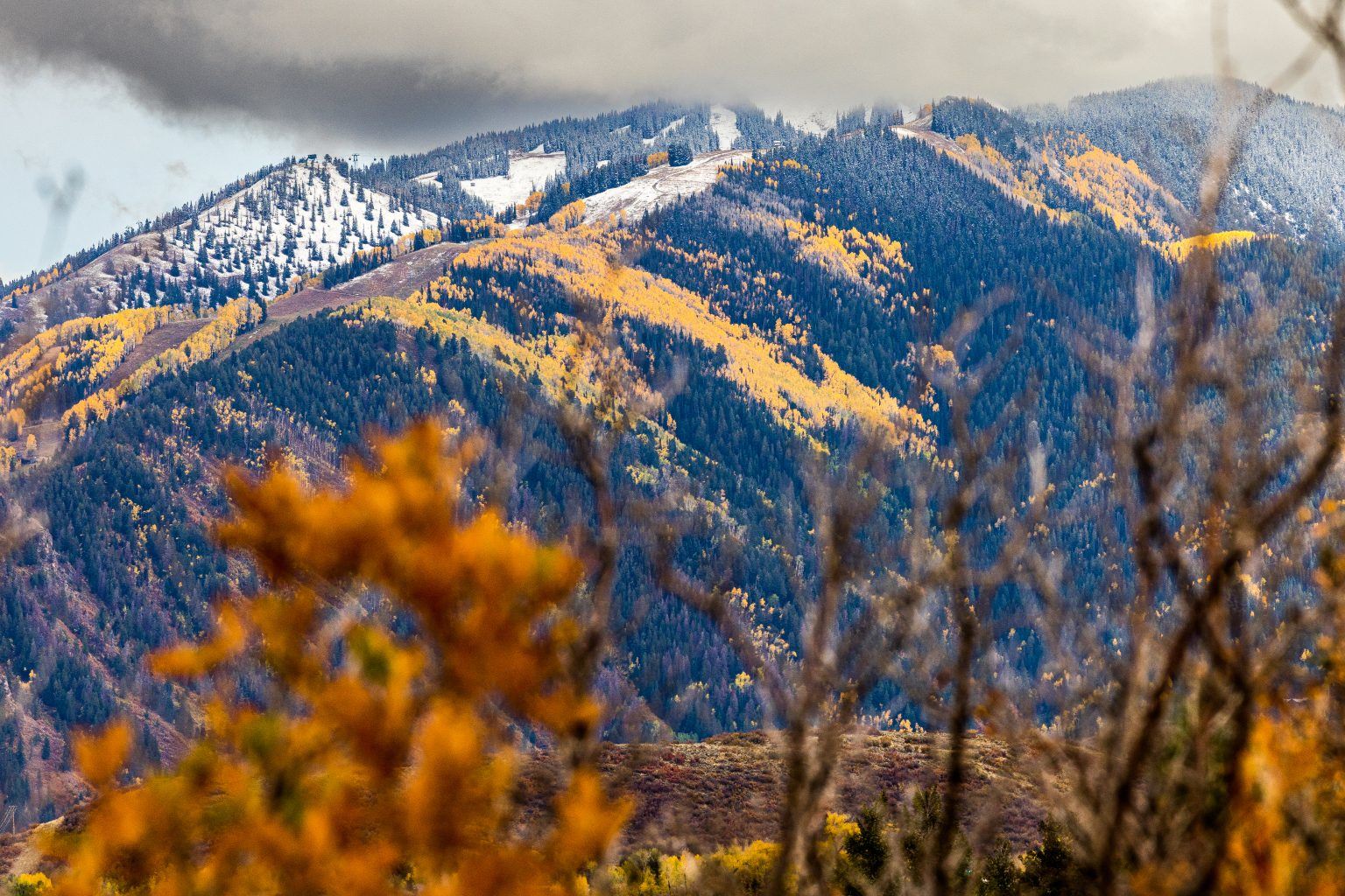 Aspen mountain with yellow foliage and snow